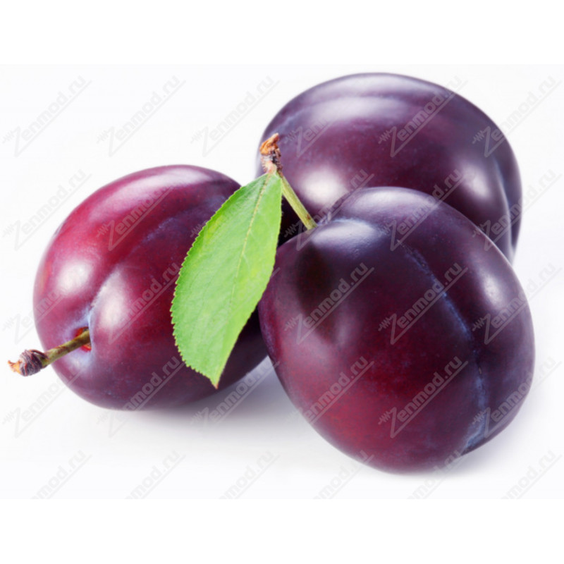 Фото и внешний вид — TPA - Plum 10мл