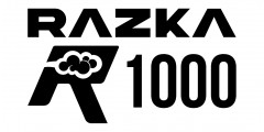 Одноразовые электронные сигареты RAZKA R1000