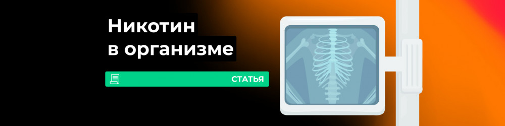 Никотин от вейпа в организме